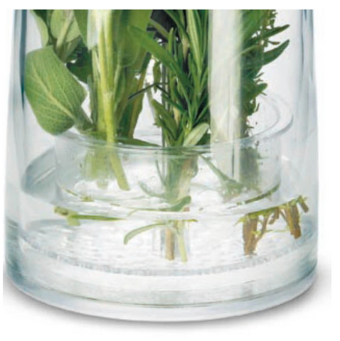 Image of Cuisipro Herb & Vegetable Keeper – image 4