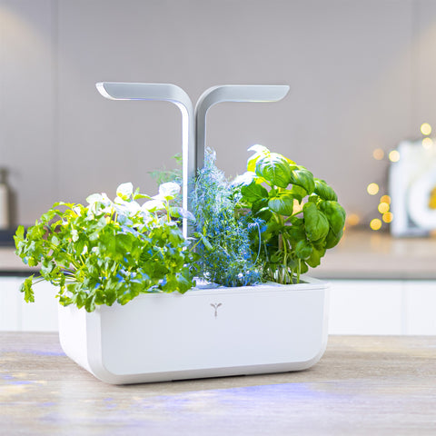 Image of VERITABLE SMART Arctic White Indoor Garden