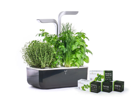 Image of VERITABLE SMART Soft Black Indoor Garden