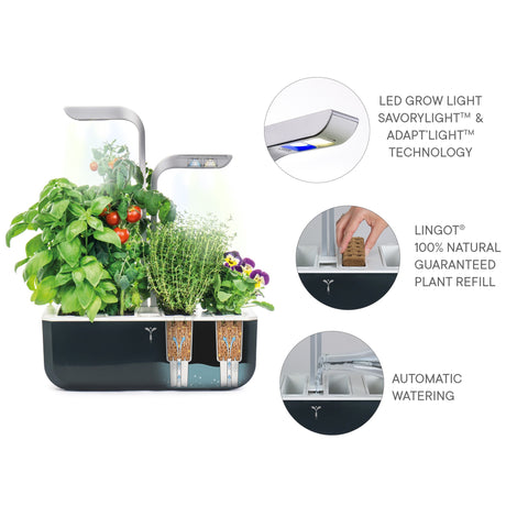 Image of VERITABLE SMART Soft Black Indoor Garden