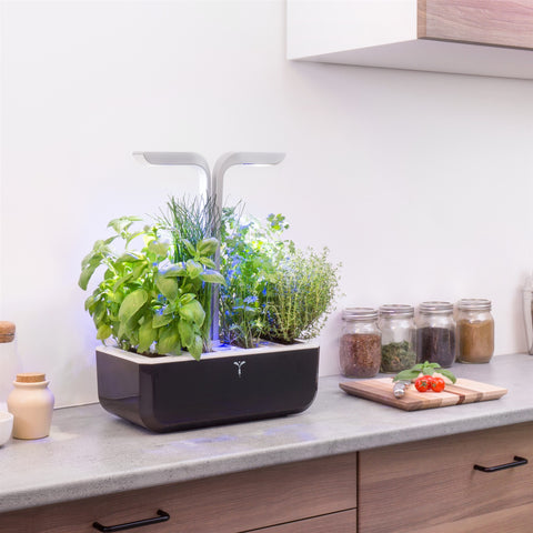 Image of VERITABLE SMART Soft Black Indoor Garden