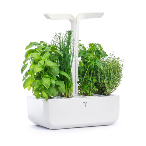 Image of VERITABLE CLASSIC Indoor Garden