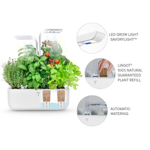 Image of VERITABLE CLASSIC Indoor Garden