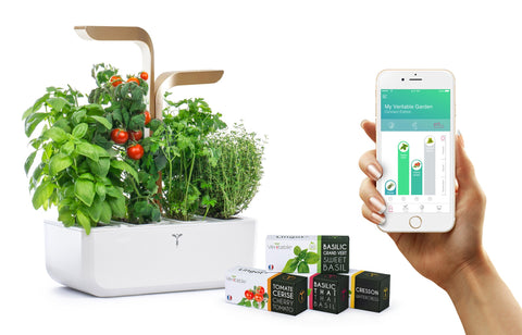 Image of VERITABLE CONNECT Moonlight Gold Indoor Garden
