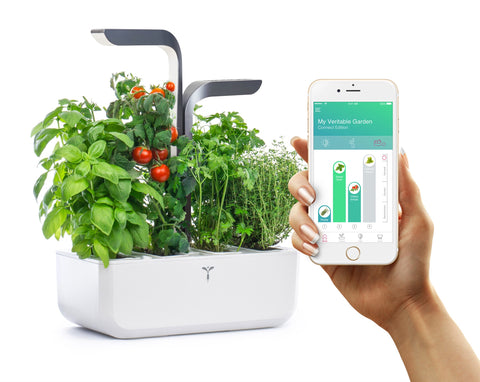 Image of VERITABLE CONNECT Infinity Grey Indoor Garden