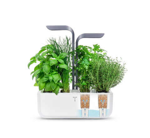 Image of VERITABLE CONNECT Infinity Grey Indoor Garden