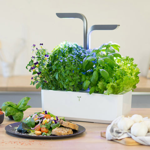 Image of VERITABLE CONNECT Infinity Grey Indoor Garden