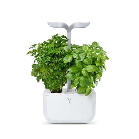 Image of VERITABLE Exky SMART Arctic White Indoor Garden