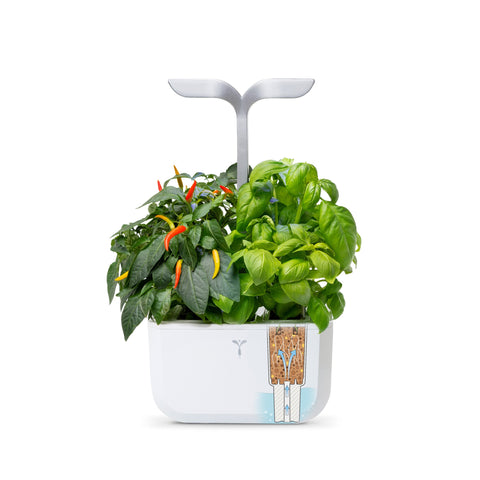 Image of VERITABLE Exky SMART Arctic White Indoor Garden