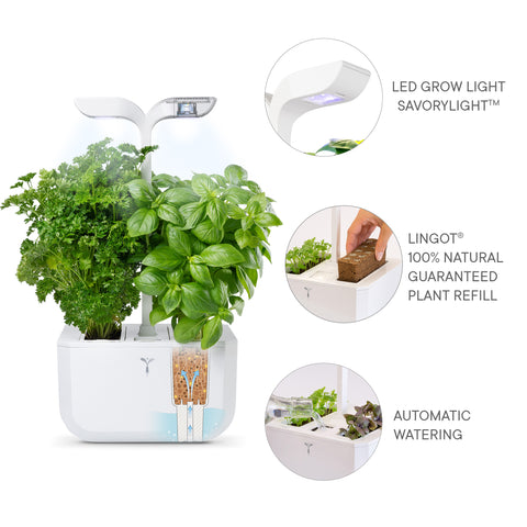 Image of VERITABLE Exky CLASSIC Indoor Garden