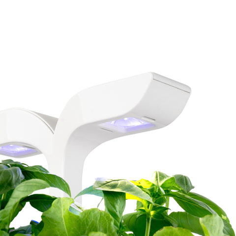 Image of VERITABLE Exky CLASSIC Indoor Garden