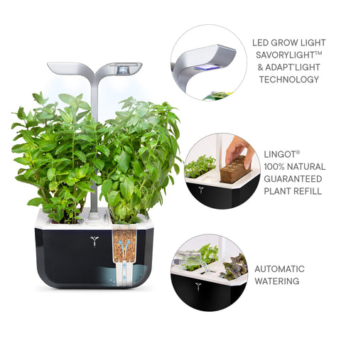 Image of VERITABLE Exky SMART Soft Black Indoor Garden