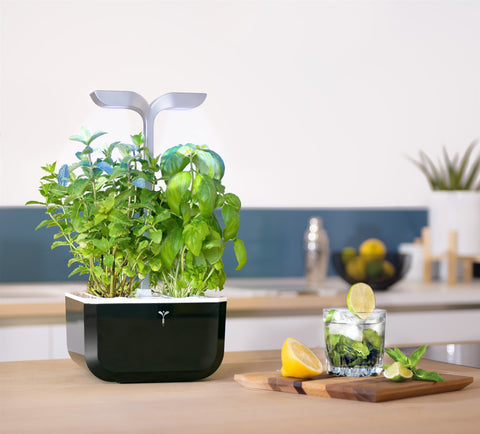 Image of VERITABLE Exky SMART Soft Black Indoor Garden