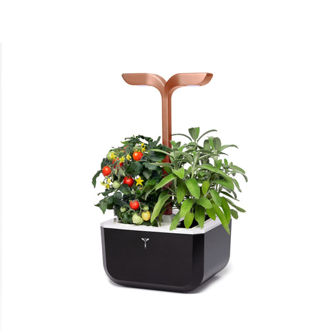 Image of VERITABLE Exky SMART Copper Indoor Garden