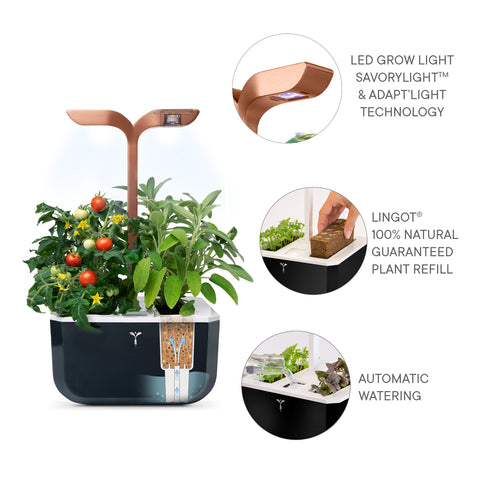 Image of VERITABLE Exky SMART Copper Indoor Garden