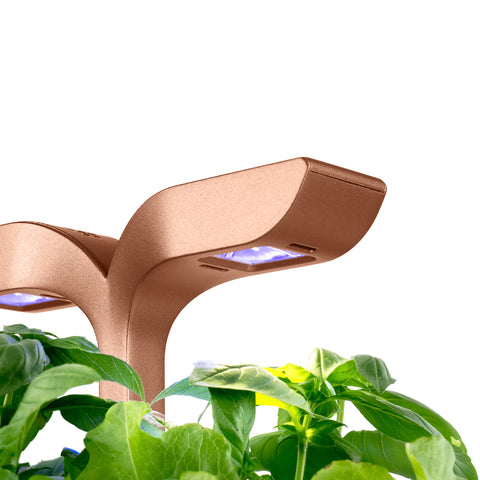 Image of VERITABLE Exky SMART Copper Indoor Garden