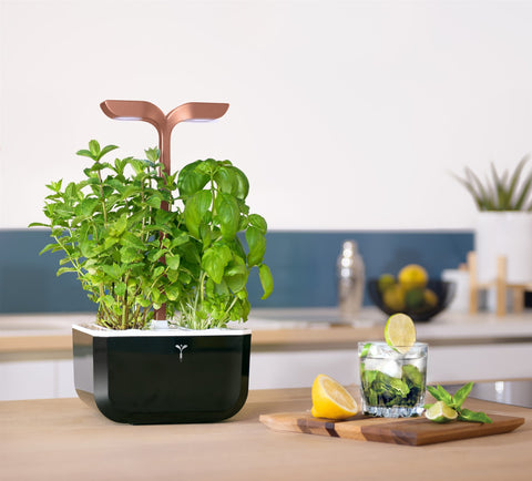 Image of VERITABLE Exky SMART Copper Indoor Garden