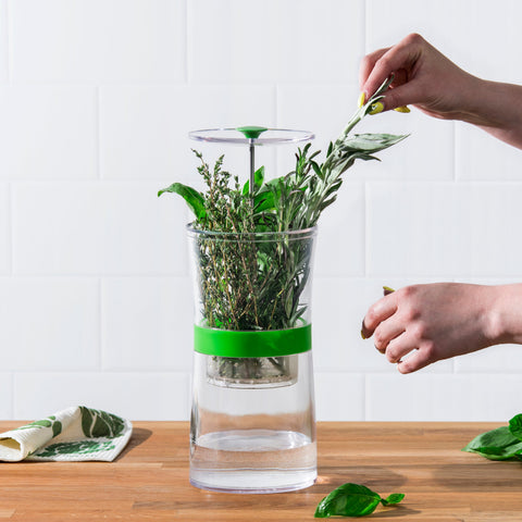 Image of Cuisipro Herb Keeper