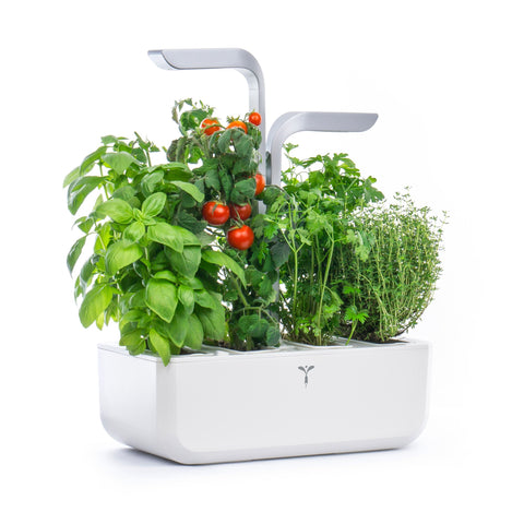 Image of VERITABLE SMART Arctic White Indoor Garden