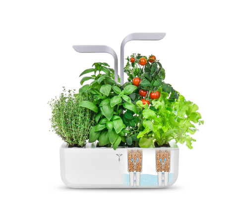 Image of VERITABLE SMART Arctic White Indoor Garden