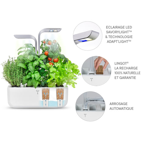 Image of VERITABLE SMART Arctic White Indoor Garden