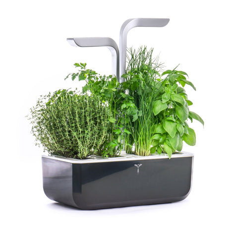 Image of VERITABLE SMART Soft Black Indoor Garden