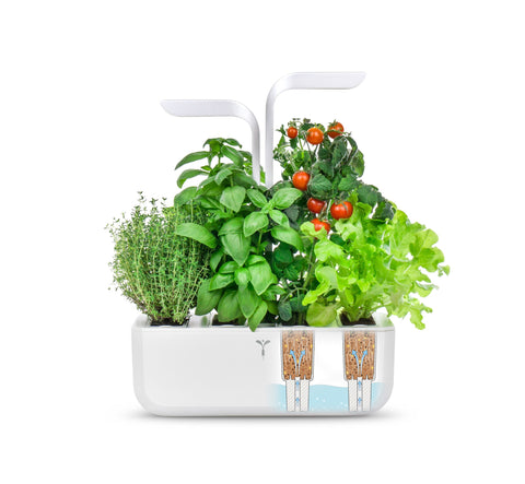 Image of VERITABLE CLASSIC Indoor Garden