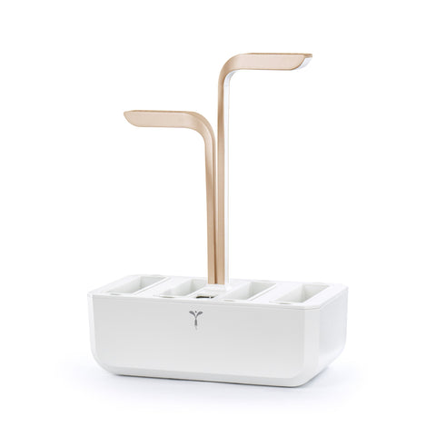 Image of VERITABLE CONNECT Moonlight Gold Indoor Garden
