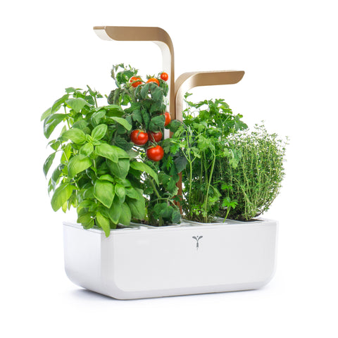 Image of VERITABLE CONNECT Moonlight Gold Indoor Garden
