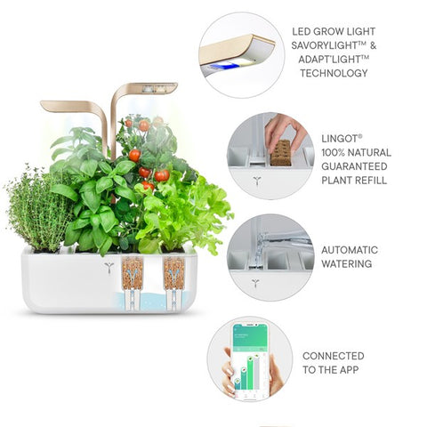 Image of VERITABLE CONNECT Moonlight Gold Indoor Garden