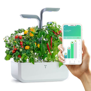 VERITABLE CONNECT Infinity Grey Indoor Garden