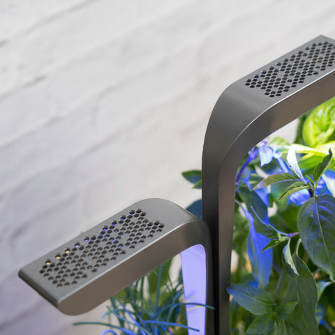 Image of VERITABLE CONNECT Infinity Grey Indoor Garden