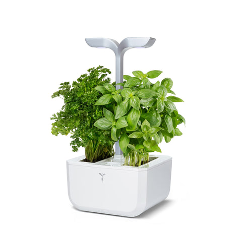 Image of VERITABLE Exky SMART Arctic White Indoor Garden