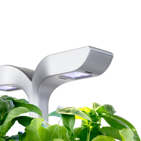 Image of VERITABLE Exky SMART Arctic White Indoor Garden