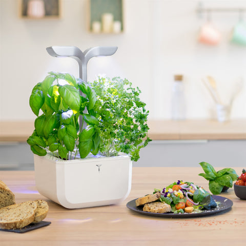 Image of VERITABLE Exky SMART Arctic White Indoor Garden