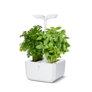 VERITABLE Exky CLASSIC Indoor Garden