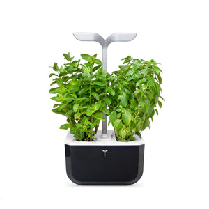 VERITABLE Exky SMART Soft Black Indoor Garden