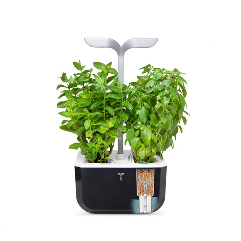 Image of VERITABLE Exky SMART Soft Black Indoor Garden